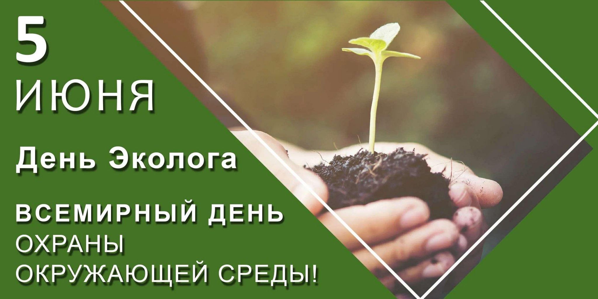 День эколога» 2024, Актанышский район — дата и место проведения, программа  мероприятия.