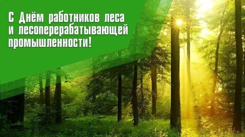 День работника леса 2024 картинки Леса–зеленый каркас планеты" 2023, Актанышский район - дата и место проведения, 