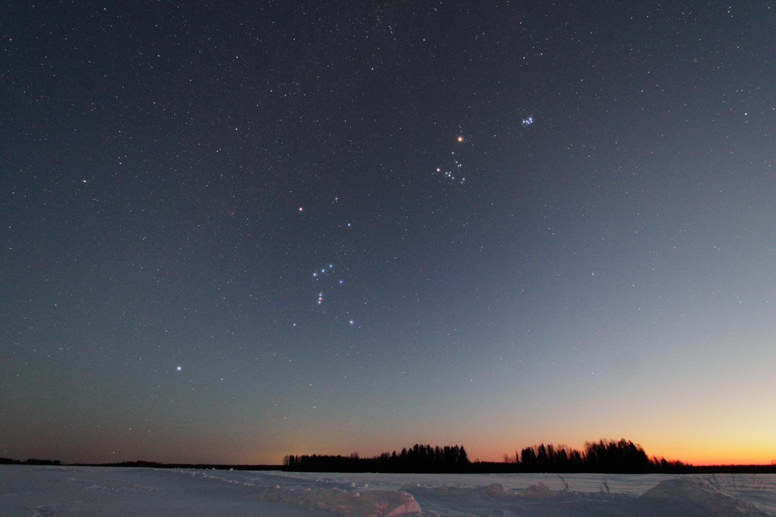 Огромная звезда на небе. Созвездие Орион на небе зимой. Плеяды Орион Сириус. Плеяды, Гиады Орион Медведица. Созвездие Ориона и Плеяды.