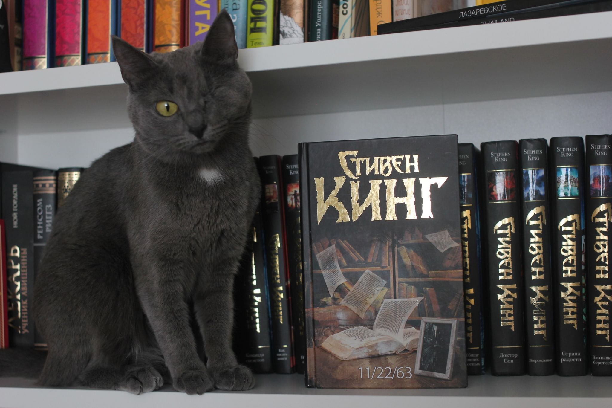 Стивен Кинг books