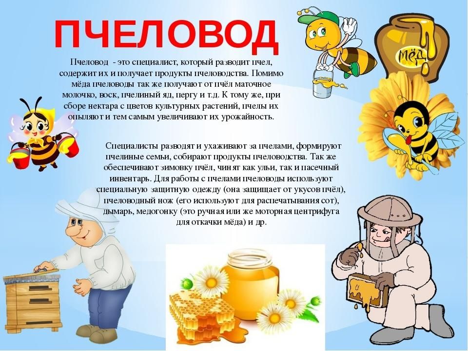 Презентация о меде