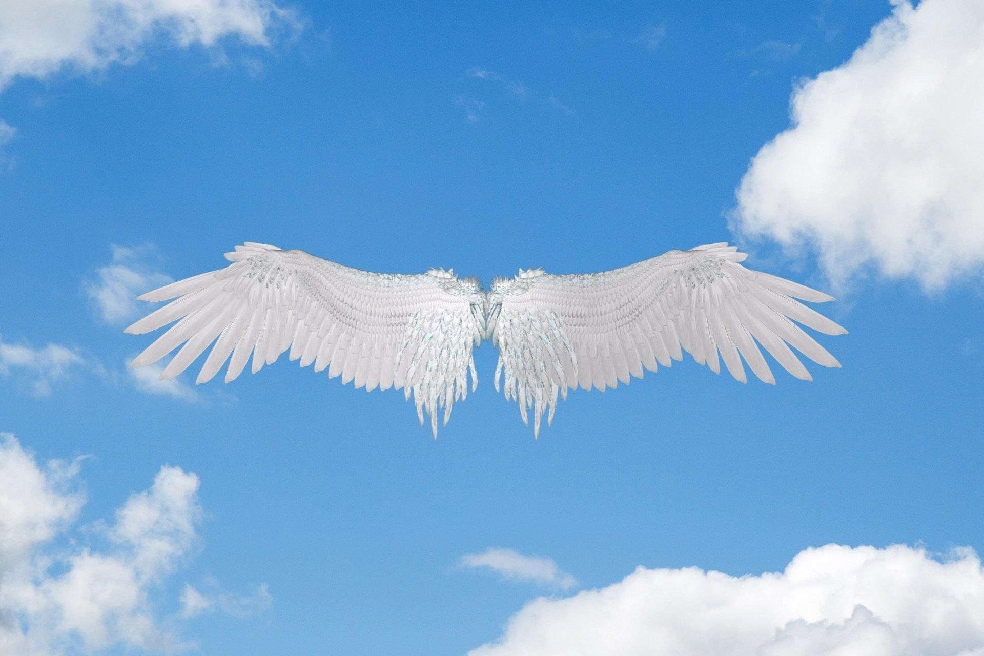 Крылья картинки. Крылья ангела. Ангел с крыльями. Белые Крылья. Большие Крылья.