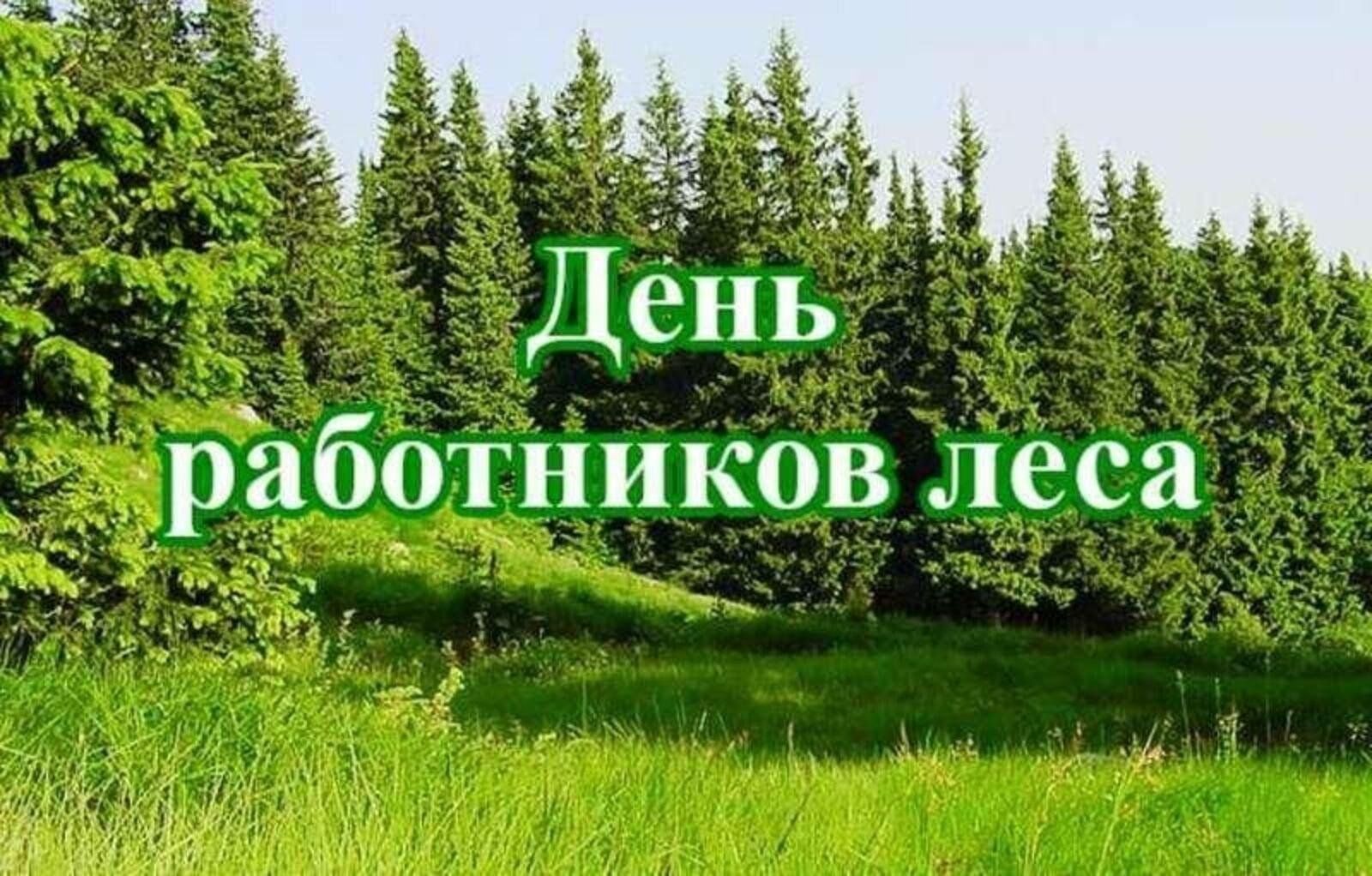 День работника леса 2024 картинки На страже леса" 2024, Юрьянский район - дата и место проведения, программа мероп