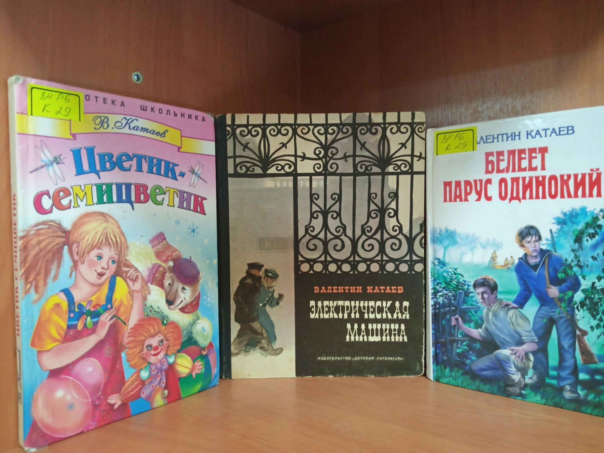 Литературный час «Счастливый дар Катаева». 2022, Воронеж — дата и место  проведения, программа мероприятия.