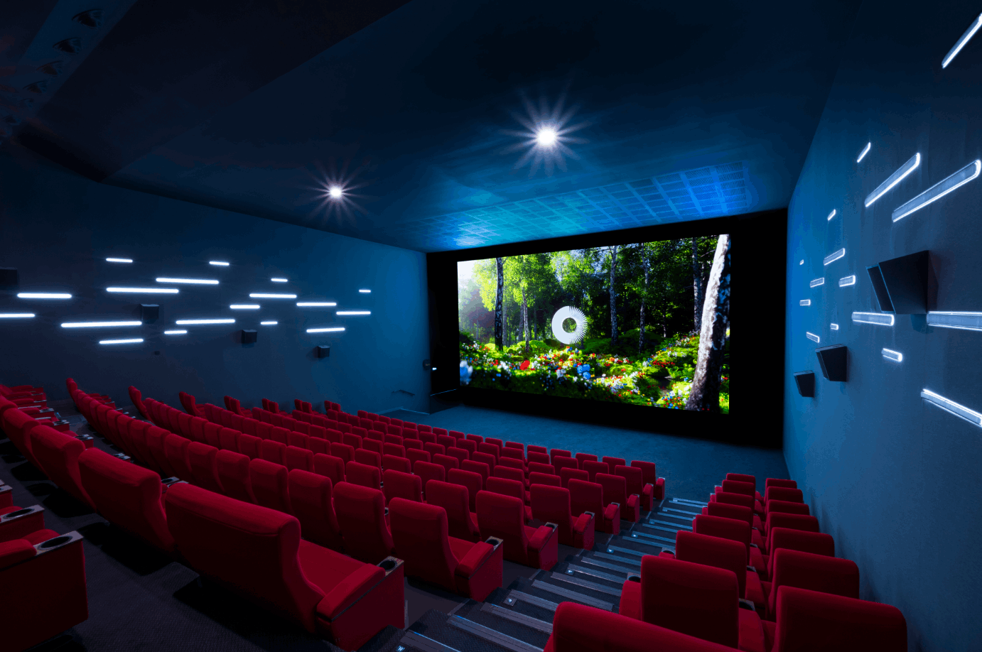 Cinema everyday. Кинотеатр. Современный кинотеатр. Зал кинотеатра. Экран кинотеатра.
