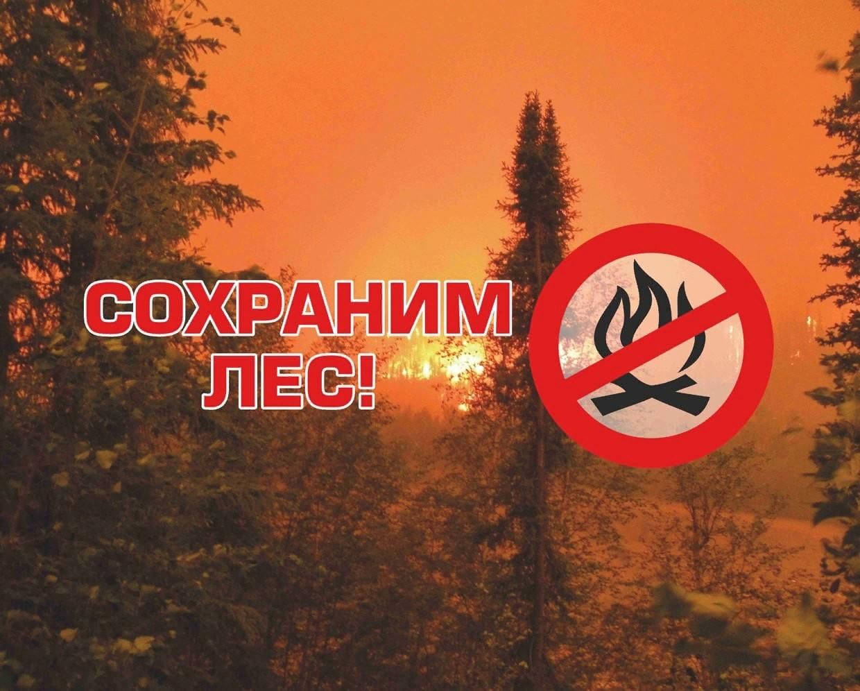 Пожарные аншлаги