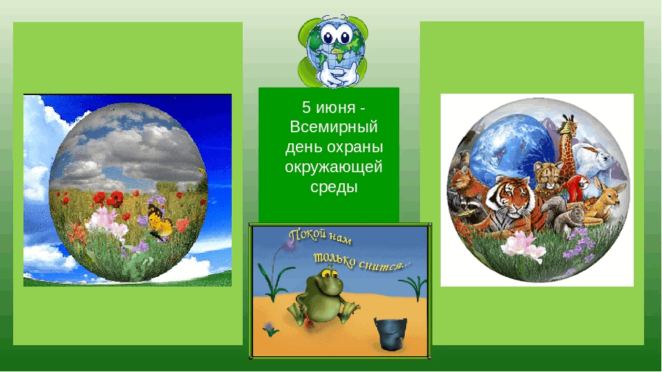Всемирный день охраны окружающей среды картинки для детей
