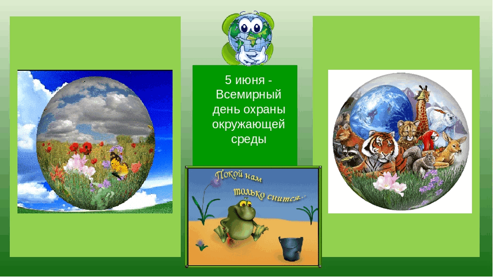 Презентация ко всемирному дню окружающей среды