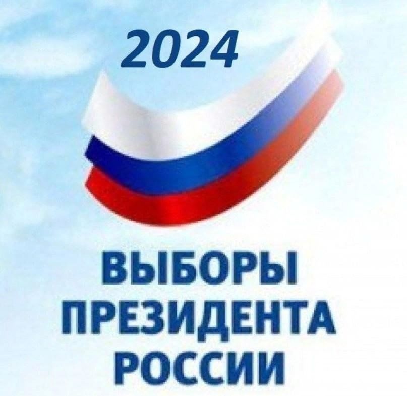 Выборы в российской федерации проект