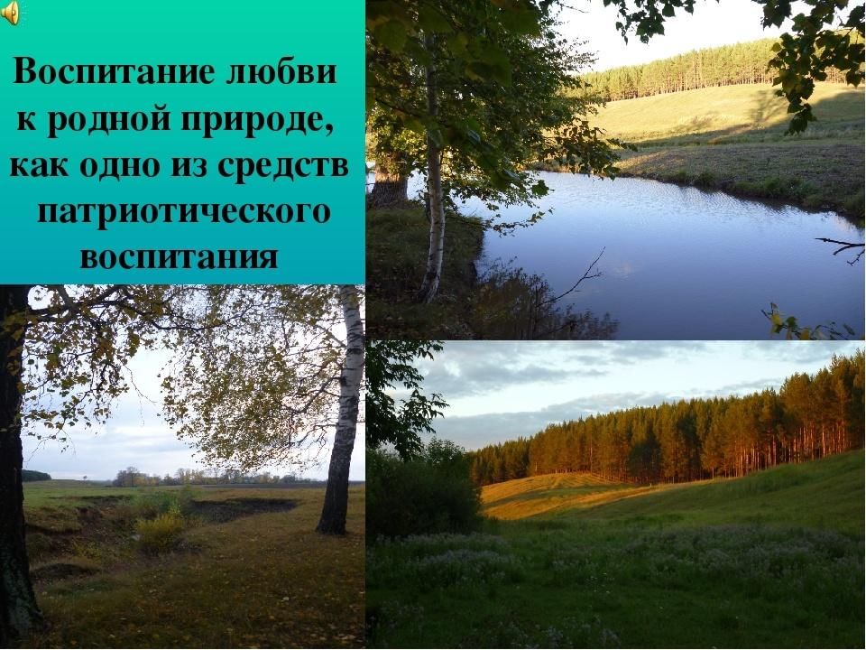 Природа родного края опишите фотографию