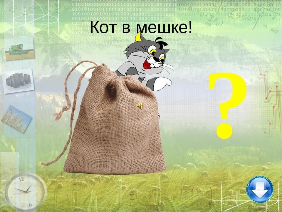 Картинка кот в мешке для презентации