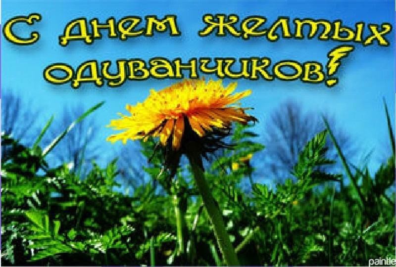 13 мая день одуванчика картинки