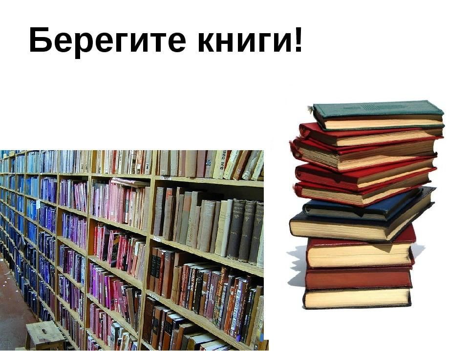 Книжный берег