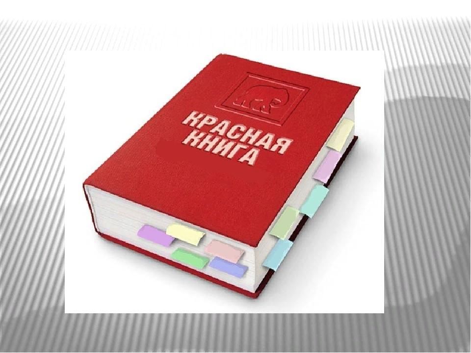 Международная красная. Международная красная книга. Международная красная книга обложка. Красная книга МСОП. Красная книга мира обложка.