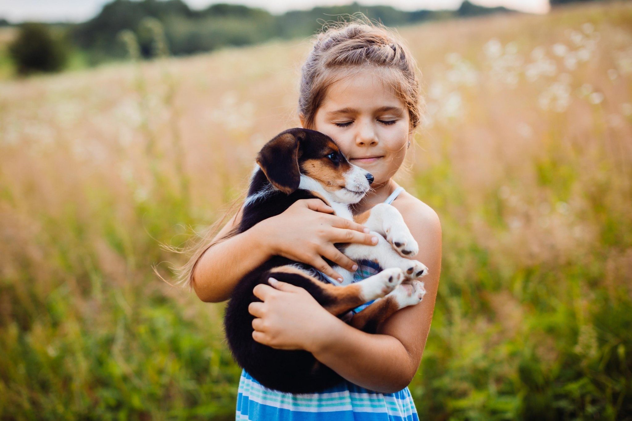 Заботиться о них зная. Девочка с собакой. Щенок на руках. Девочка обнимает собаку. Для детей. Животные.