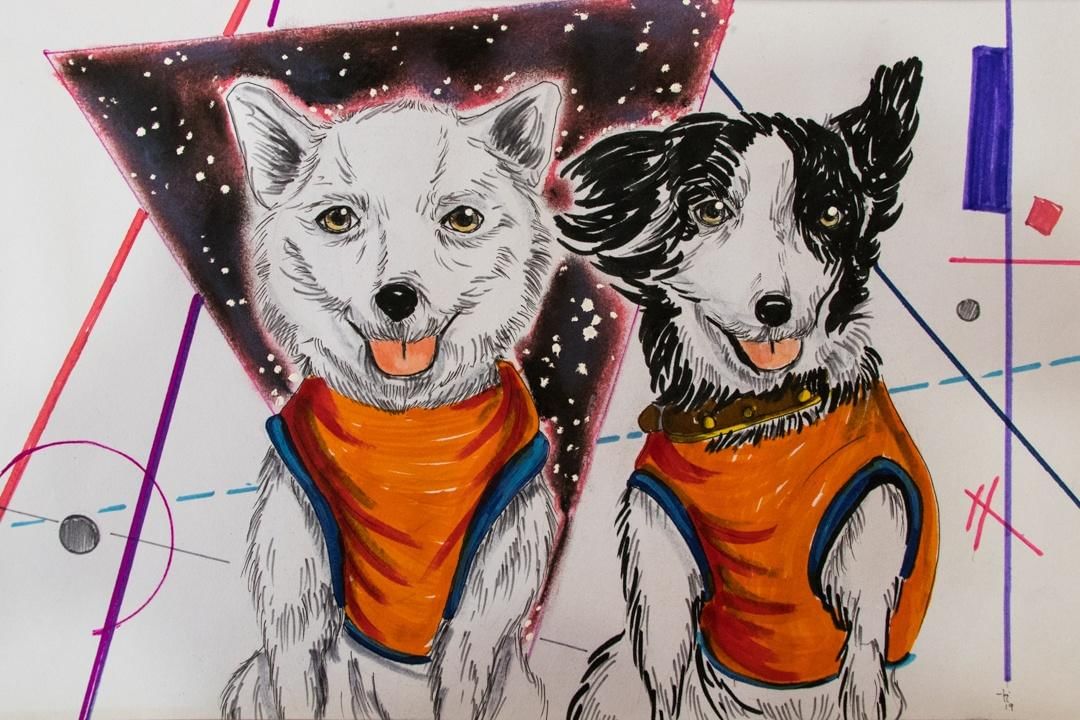 Белку и стрелку нарисовать