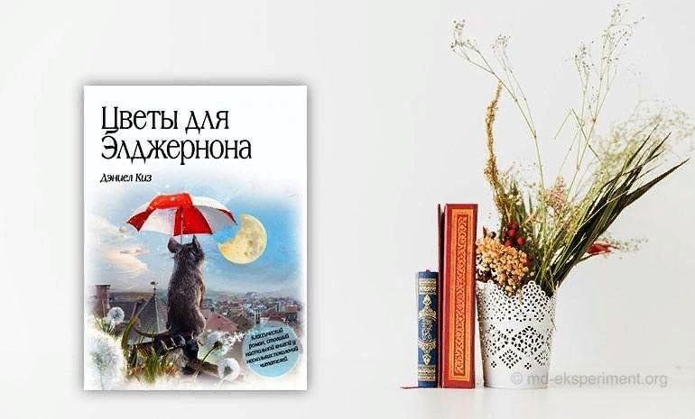 Цветы для элджернона отзывы. Дэниел киз цветы для Элджернона 1959. Цветы для Энджи Элджернона. Дэниел киз цветы для Элджернона обложка. Цветы для Элджернона иллюстрации.