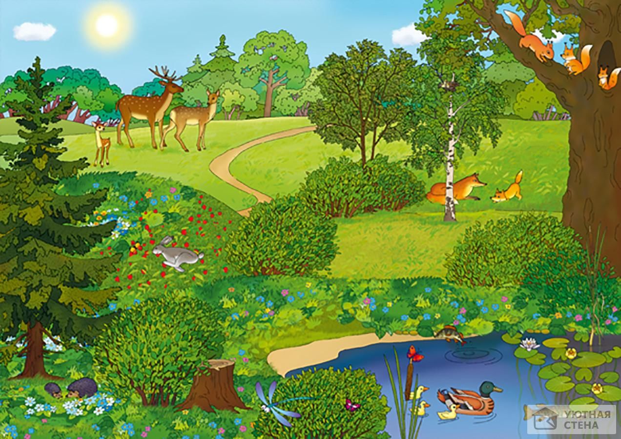 Панорама леса для детского сада
