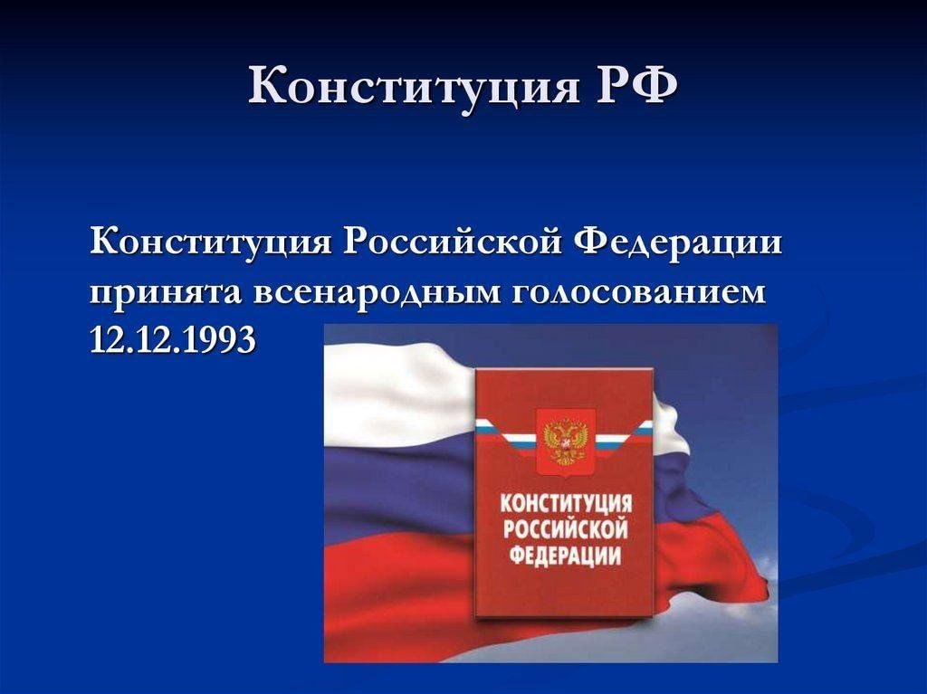 Проект конституции 1993 г был принят всенародным референдумом