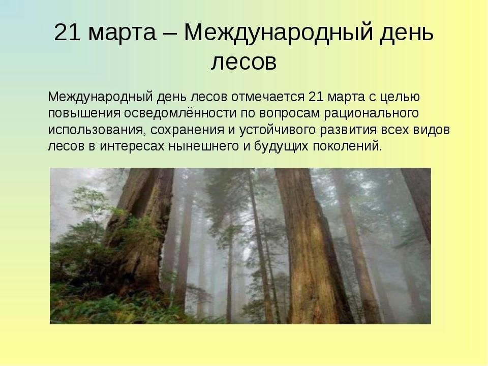 Сообщение о международном дне лесов. Международный день лесов. Международный день лесов сообщение. Рассказ о международном дне лесов.