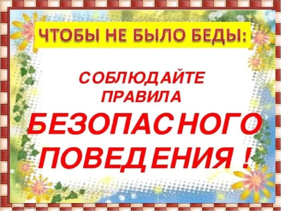 Проект чтобы не было беды