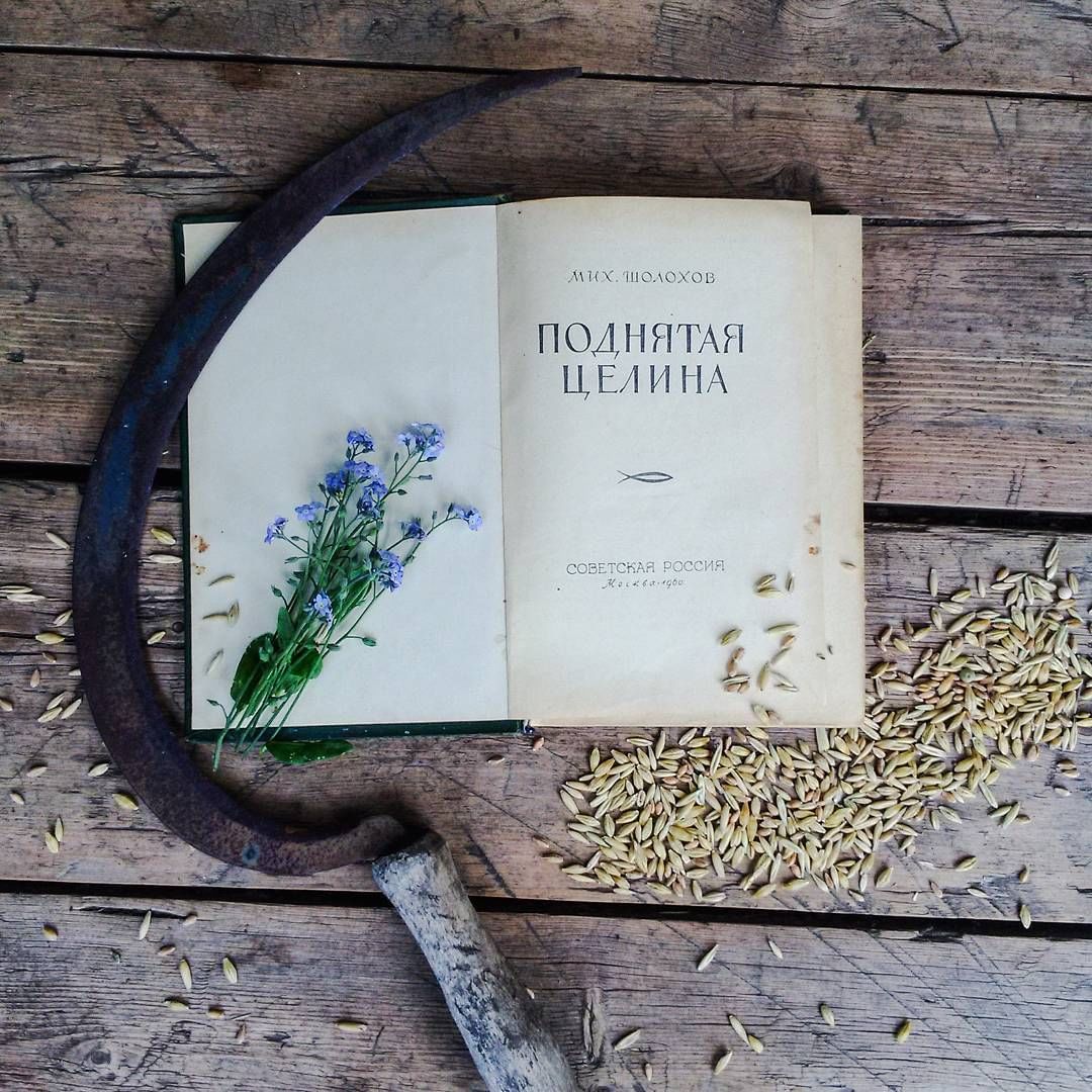Целина библиотека. Поднятая Целина книга. Шолохов поднятая Целина. Шолохов поднятая Целина книга.