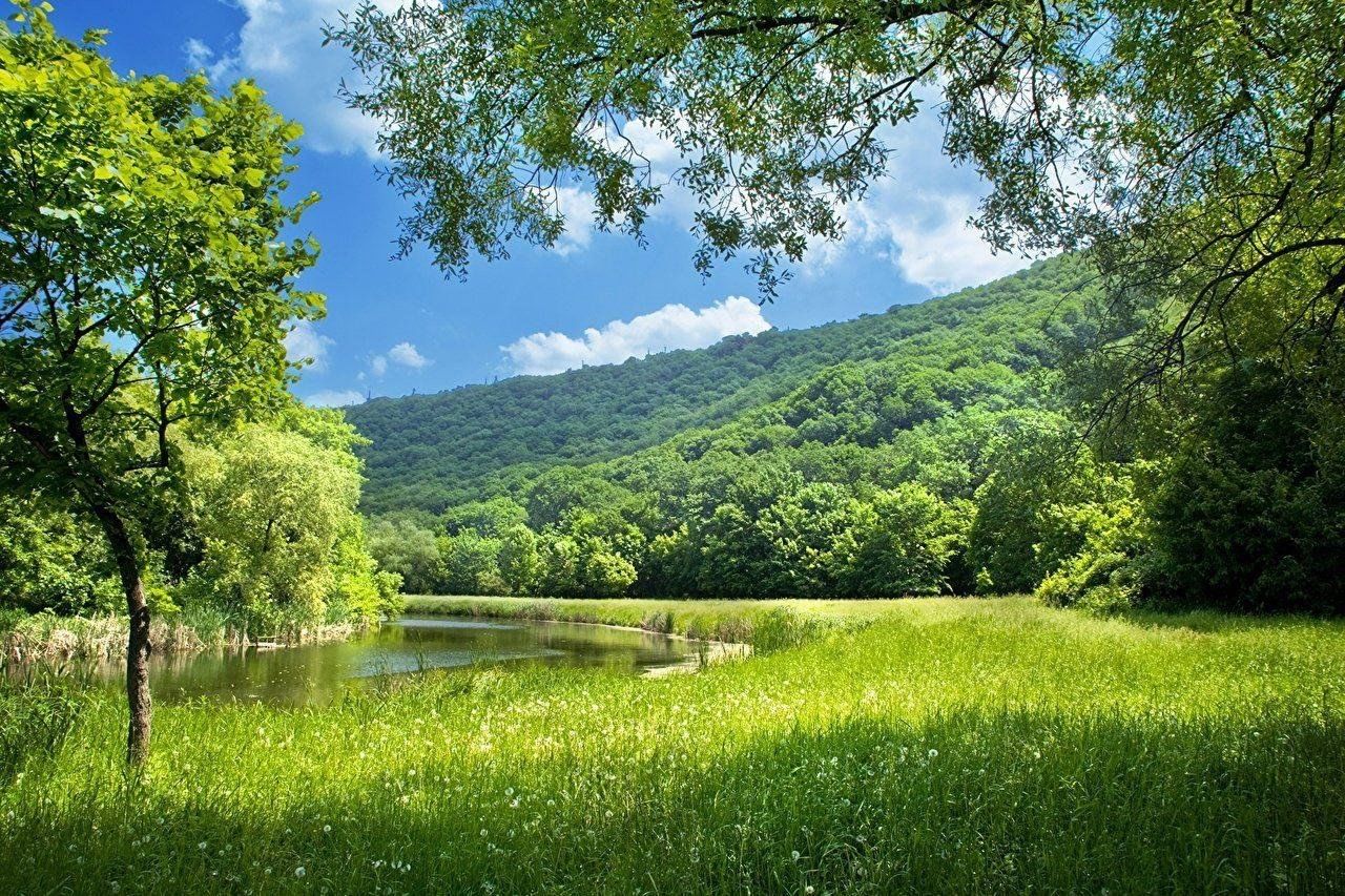 Года фото в хорошем качестве