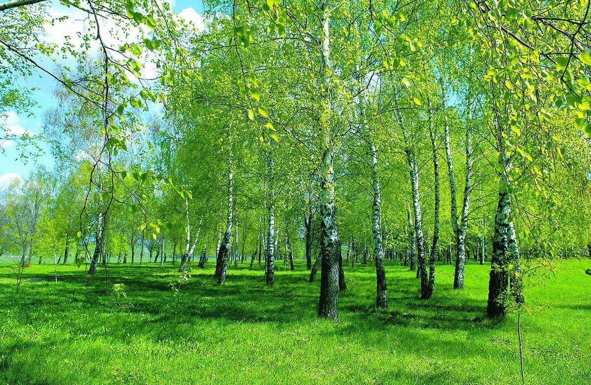 Родной край рязань презентация