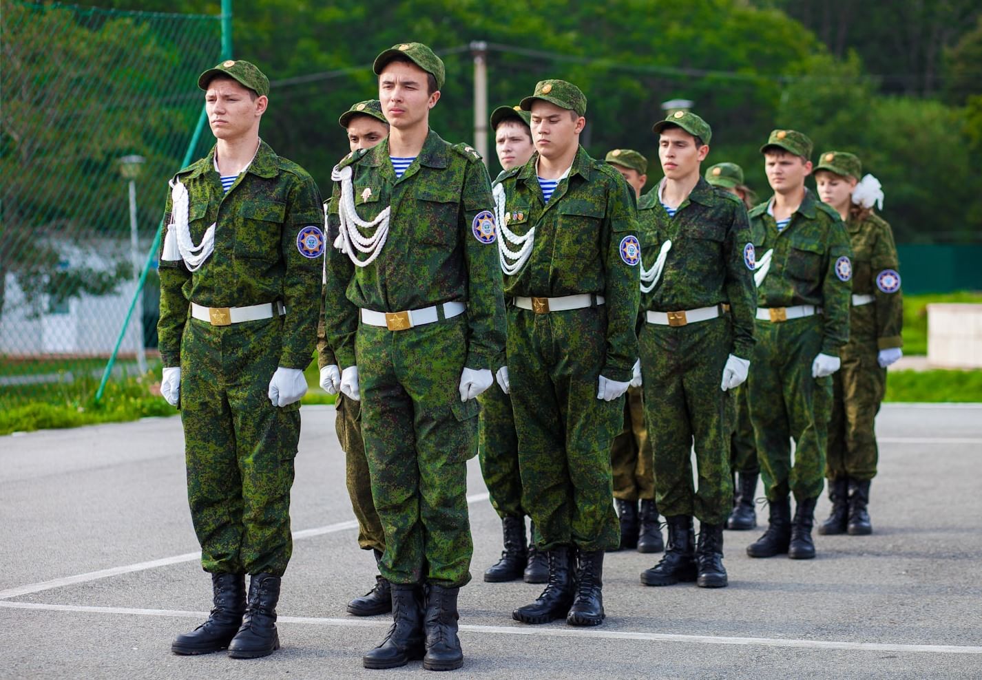 с полки идут стеной красиво держат строй