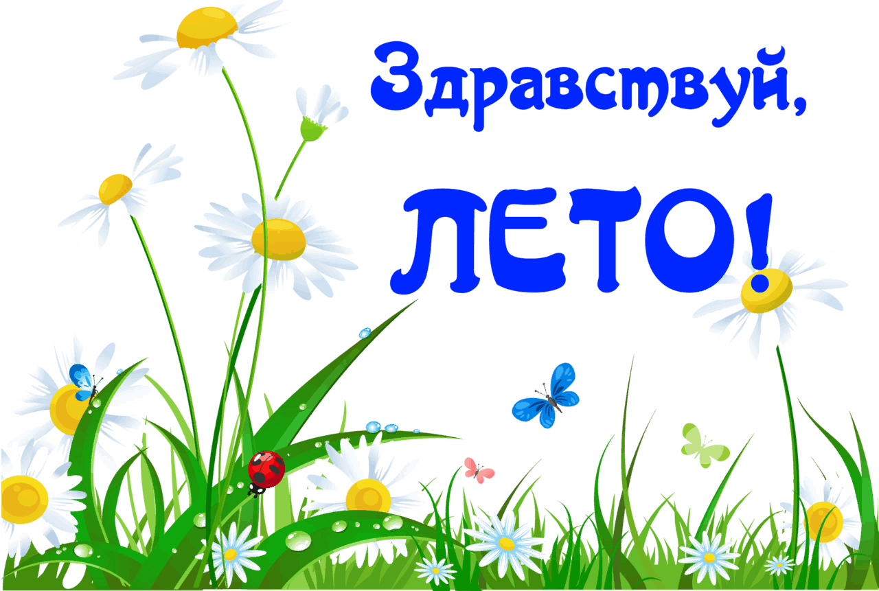 Проект привет лето