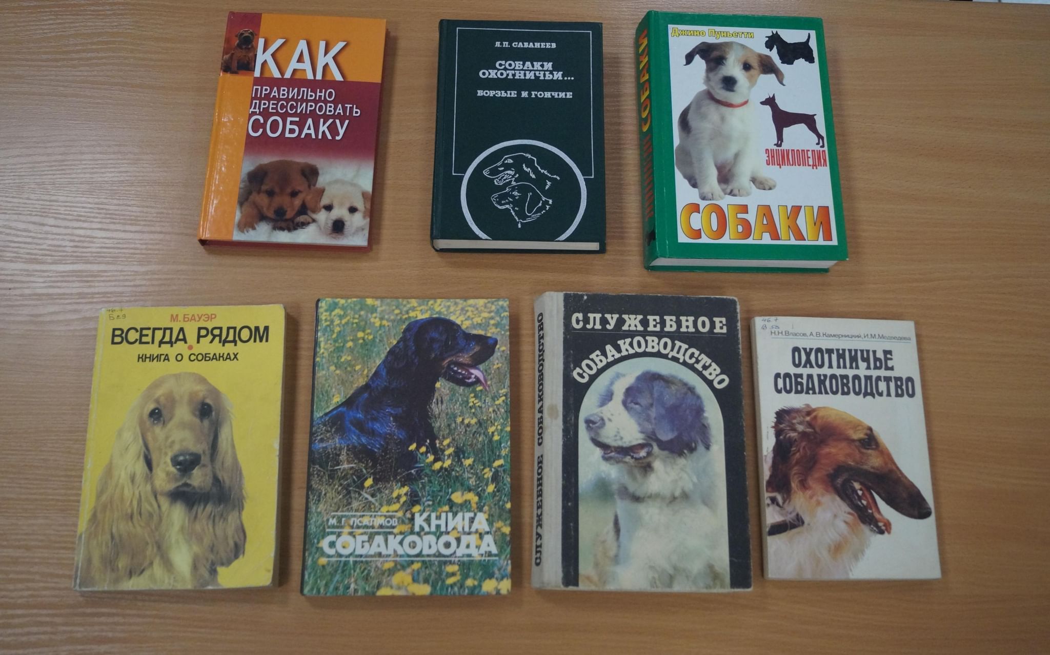 Даты выставок собак. Книжная выставка про собак. Выставка книг о собаках. Выставка собак название. Книги руководство по выставке собак.