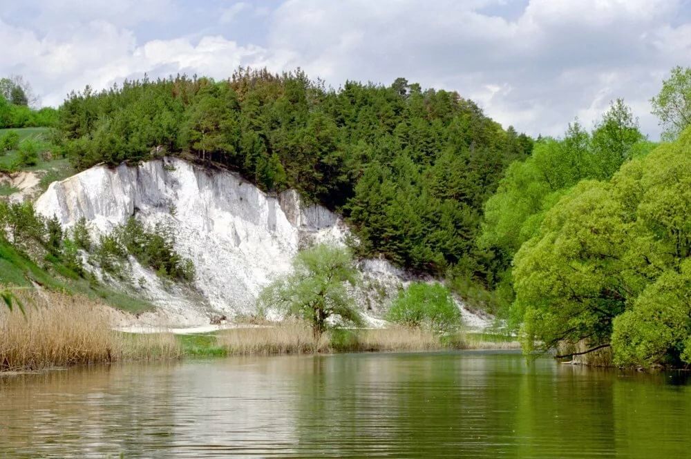 Г Белгород пруд Весна