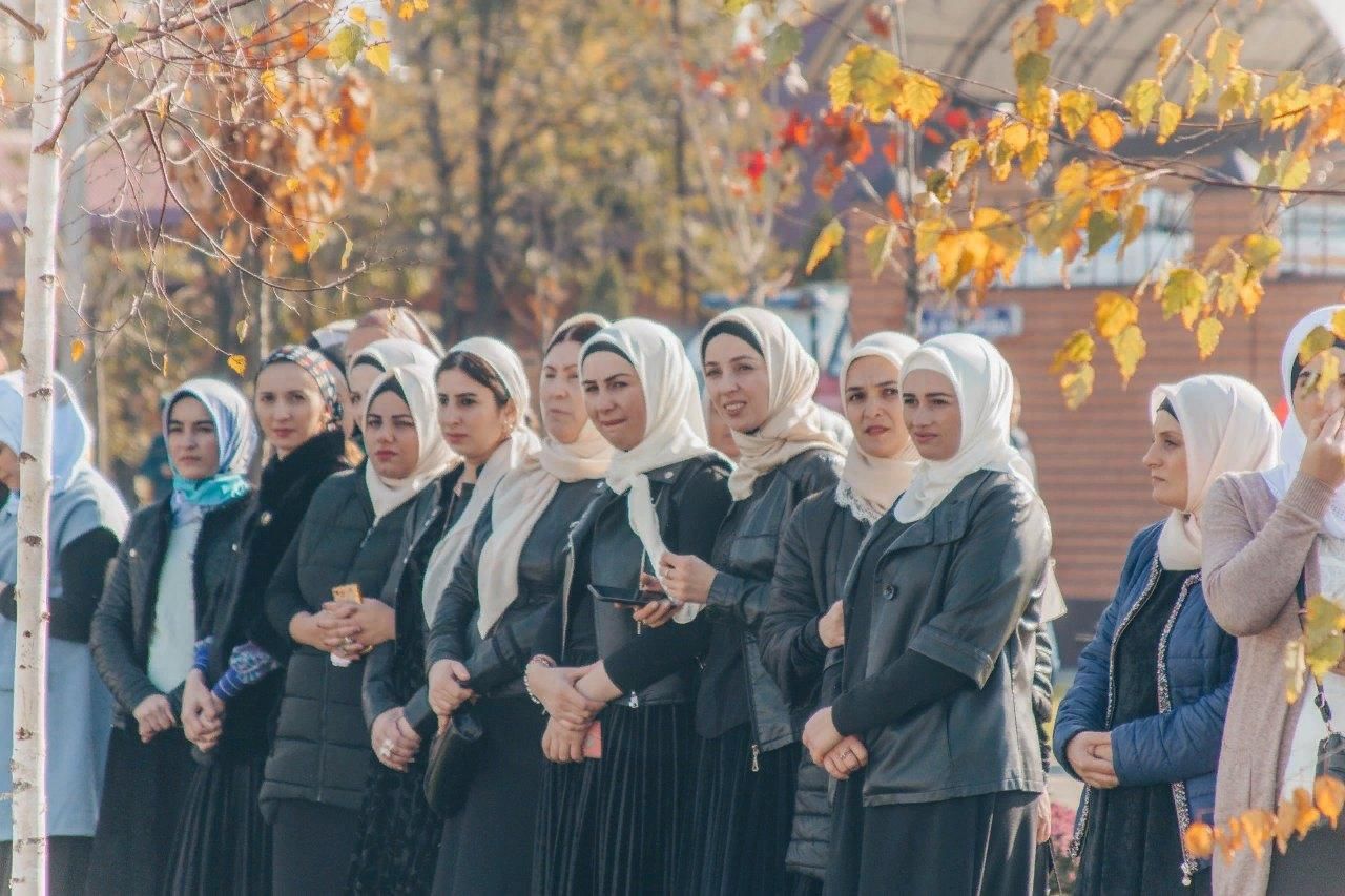 Аллерой Курчалоевский район
