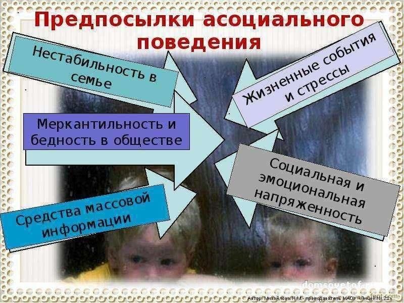 Ассоциативное поведение