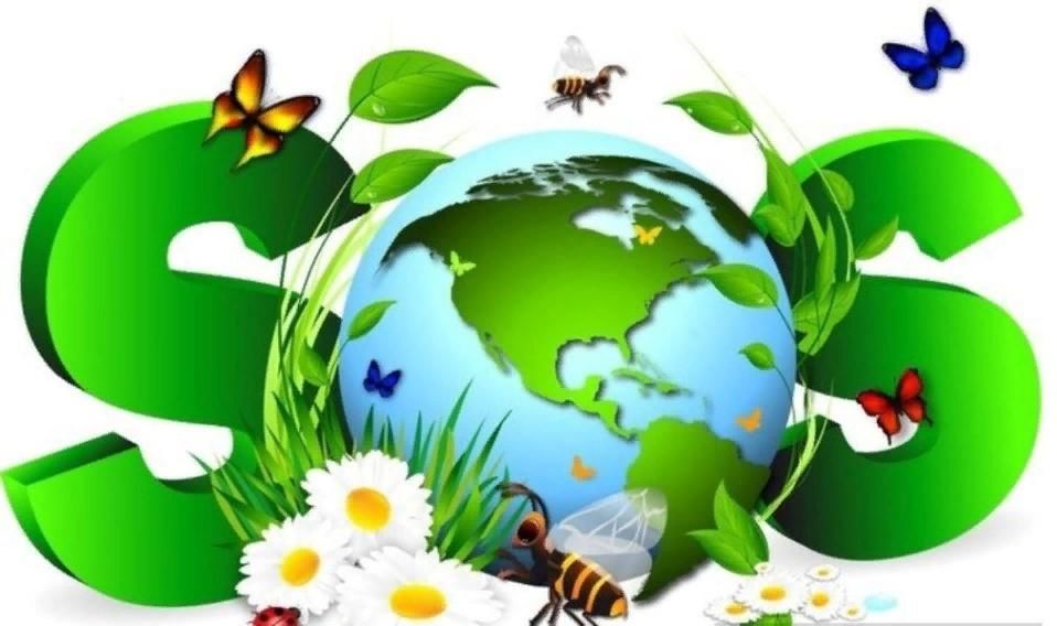 Природа просит помощи презентация