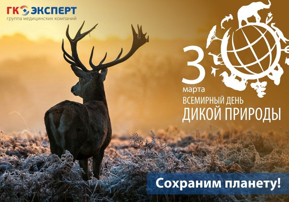 Всемирный день дикой природы презентация