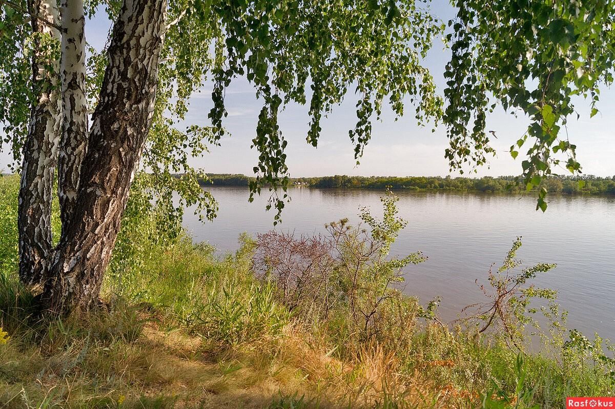 Родной область. Родной край. Красота родного края. Родная природа. Природа нашего края.