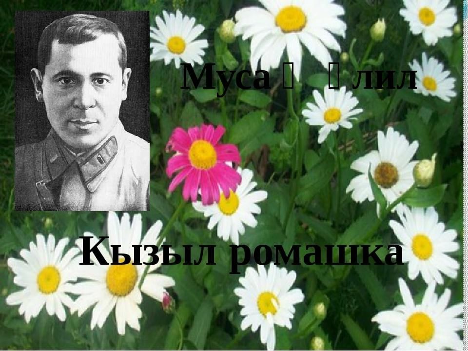 Презентация муса джалиль красная ромашка