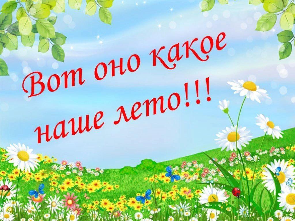 Проект лето 1 класс