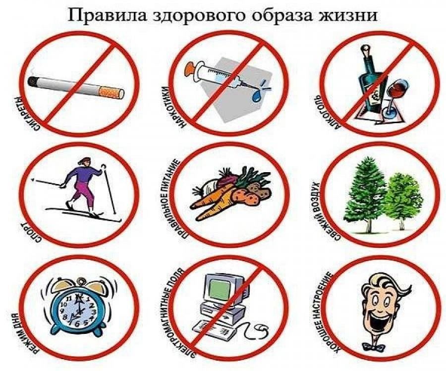 Программа "Полезные привычки"