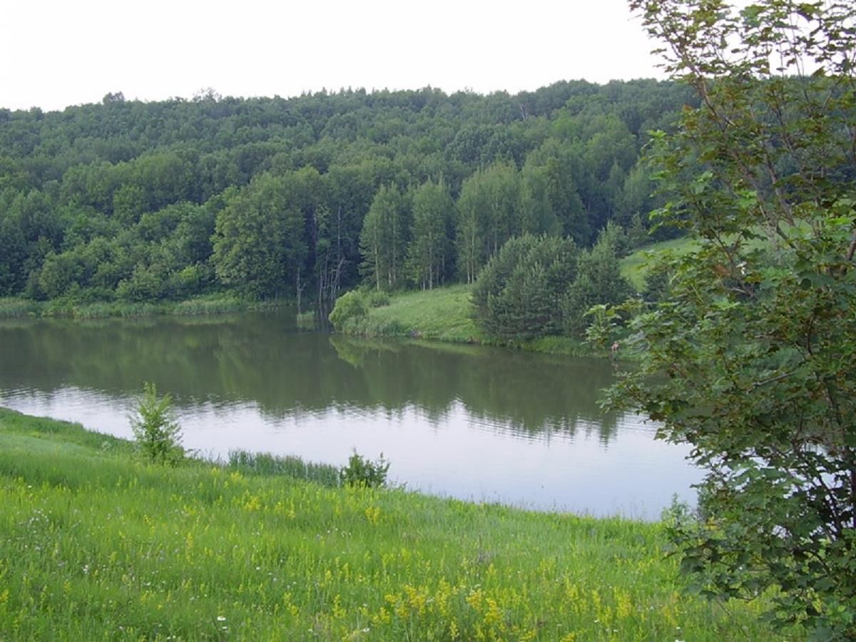 Природа Белгородской области