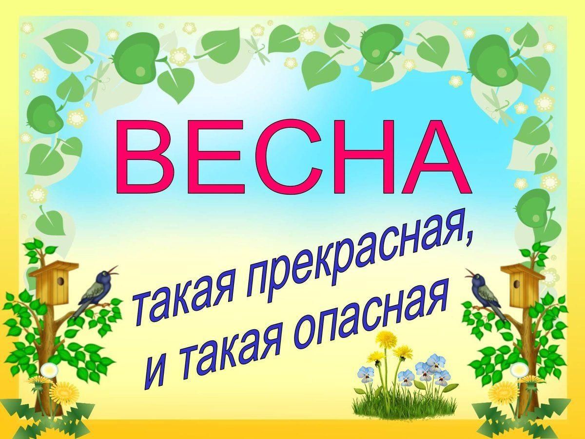 Picture background