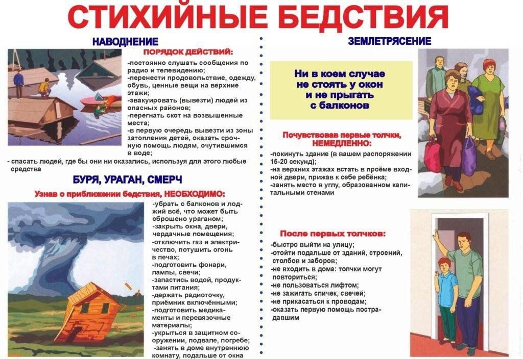 Стихийные бедствия проект