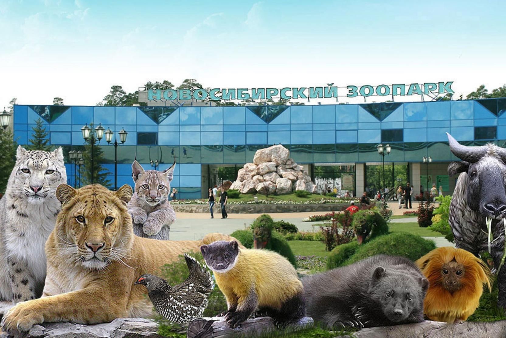 зоопарк в варшаве