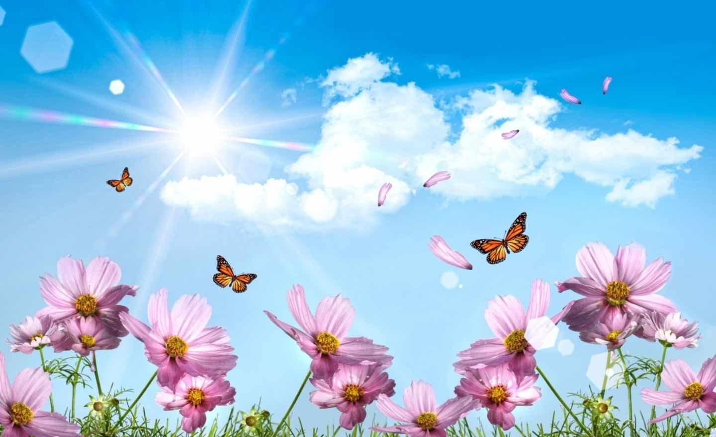 Обложка счастья. Лето бабочки. Картинки о лете. Небо солнце. Летние цветочки.