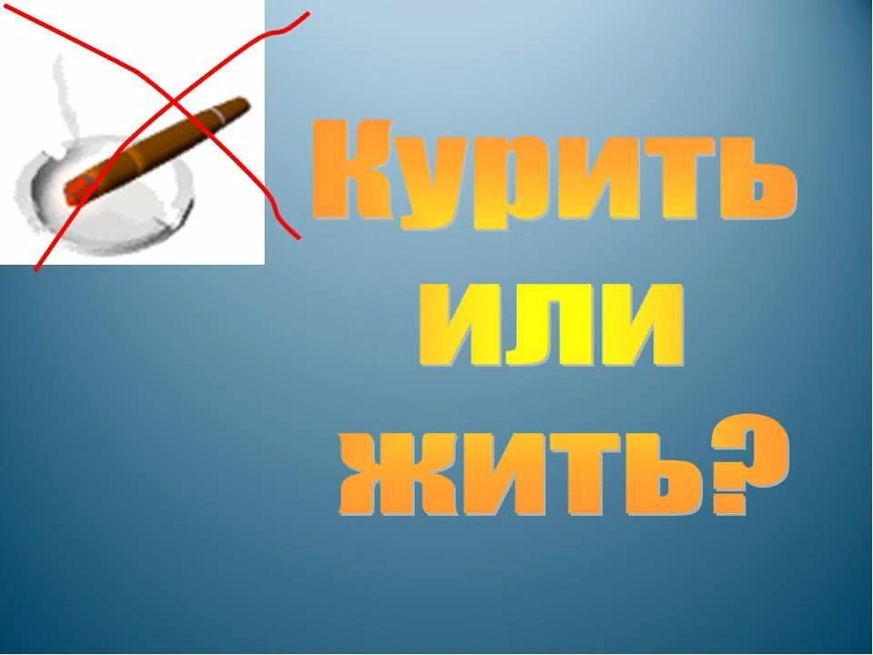 Проект жить или курить