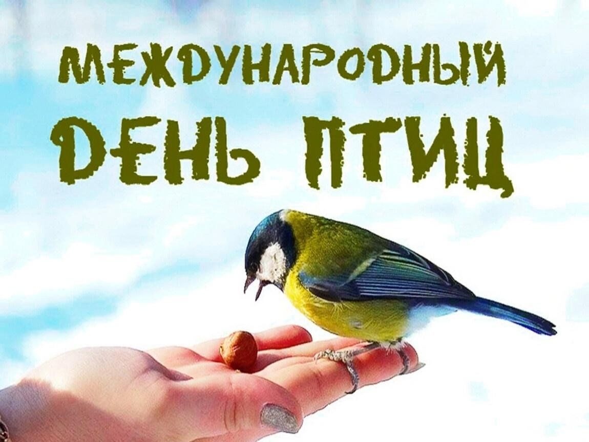 День птиц» 2024, Клявлинский район — дата и место проведения, программа  мероприятия.