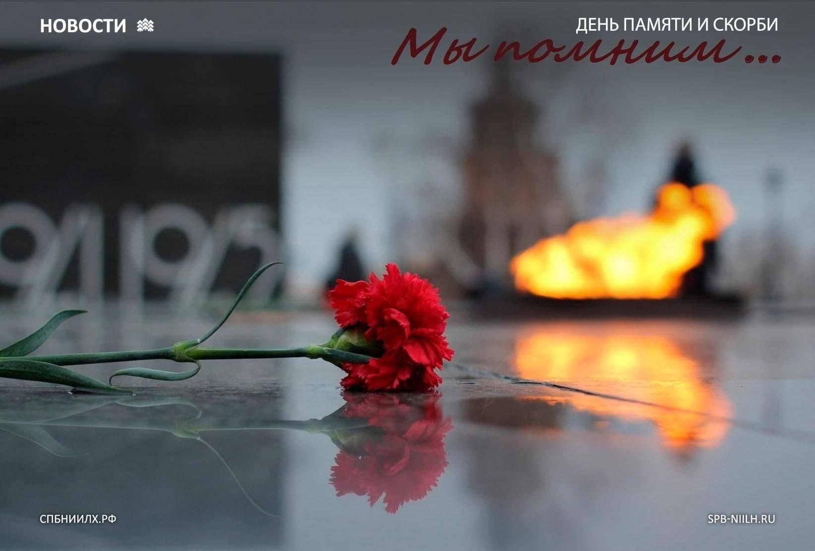 22.03 24 память. День памяти и скорби. 22 Июня день памяти и скорби. Память скорбь.