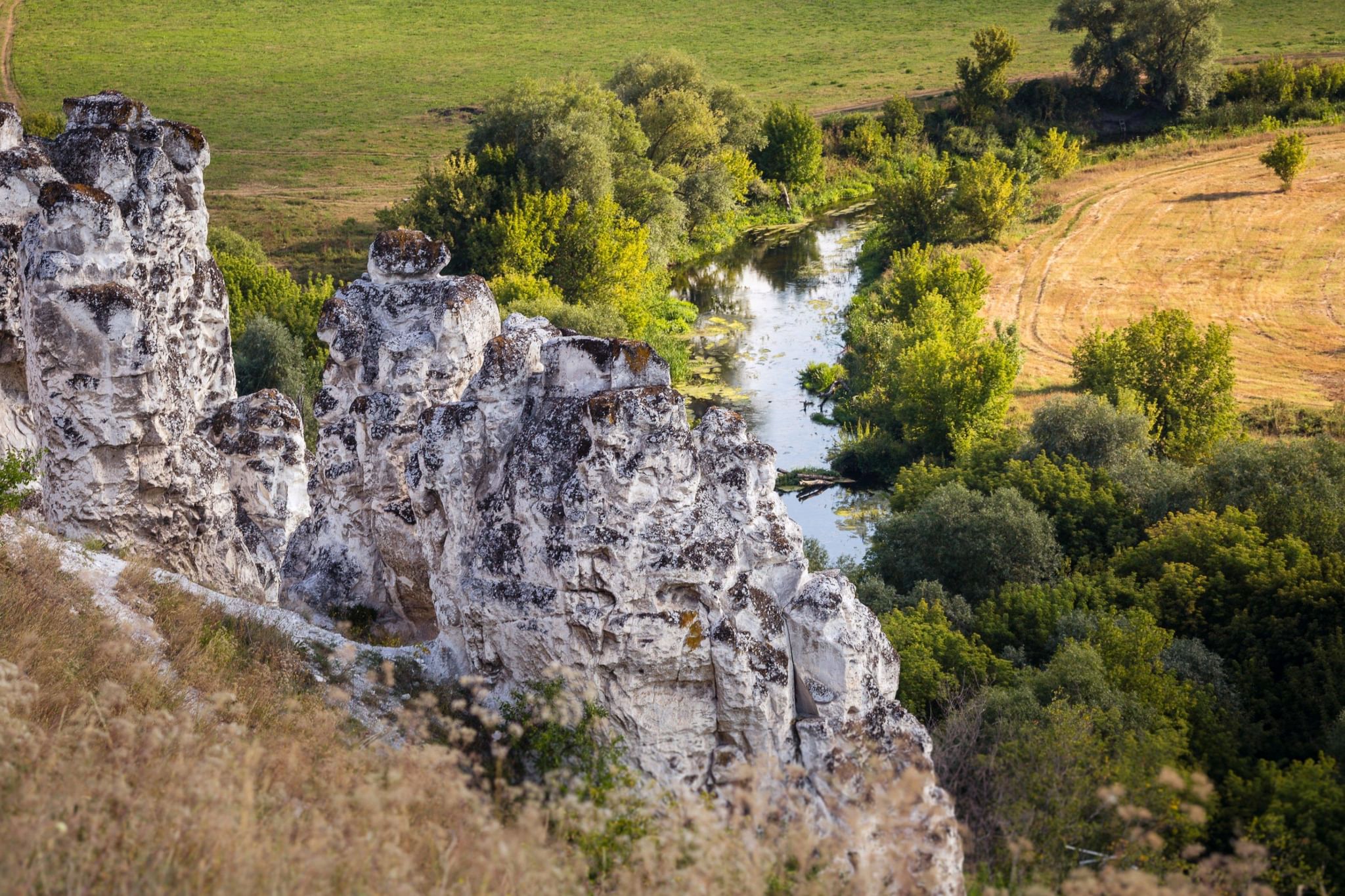 Заповедник дивногорье фото