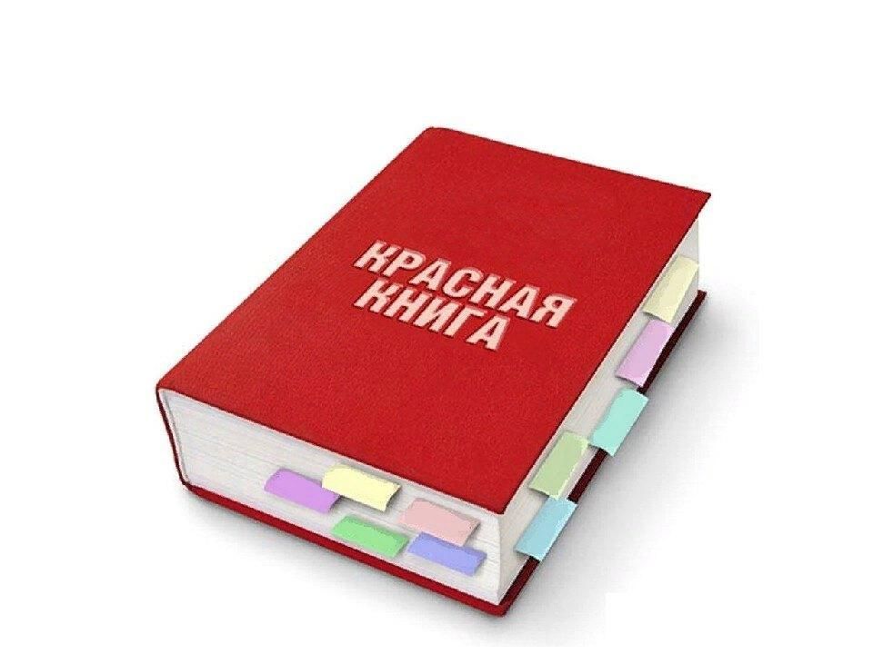 Международная книга россии